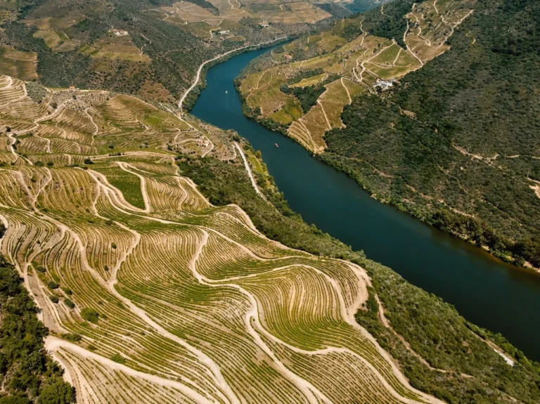 DJI_20230704150616_0187_D (1)
