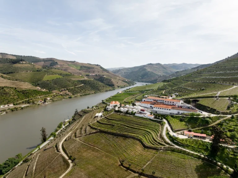 Quinta S