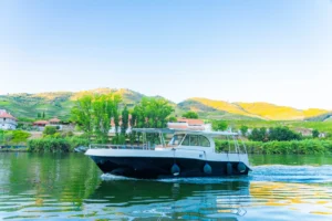passeios de barco no Douro com provas de vinho duriense